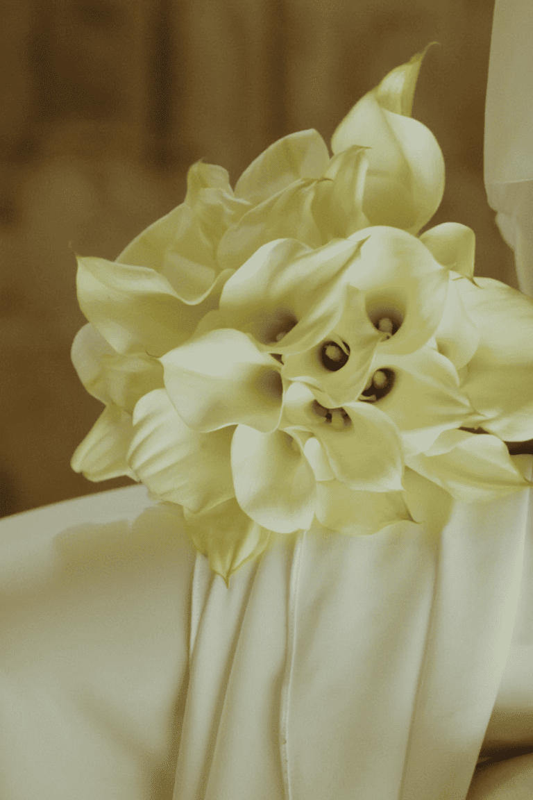 MWP11 Majerus wedding